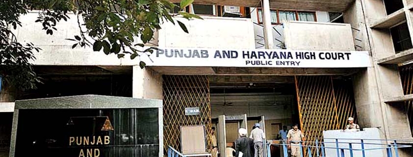 punjab haryana high court min