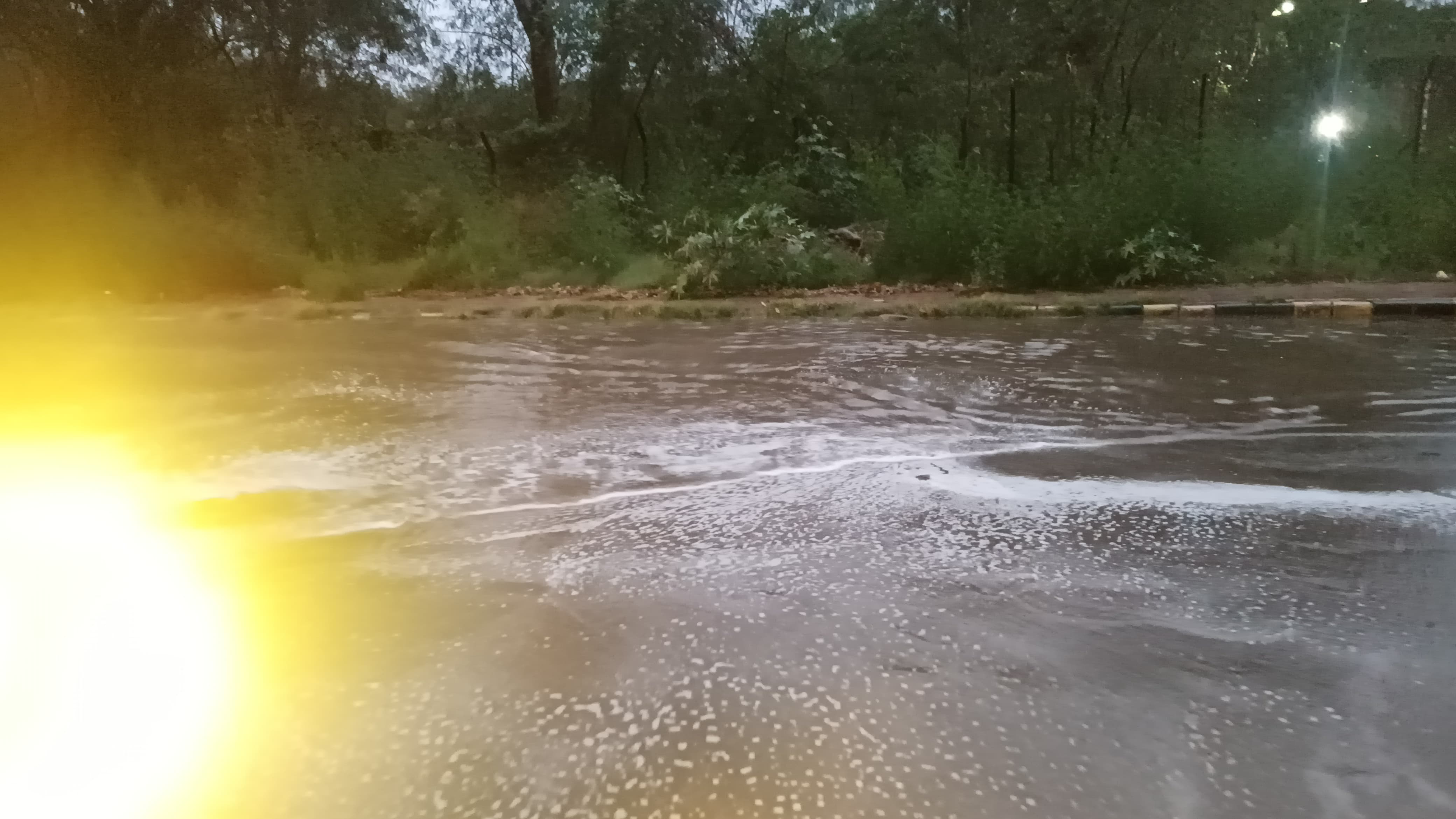 Panchkula Rain 1