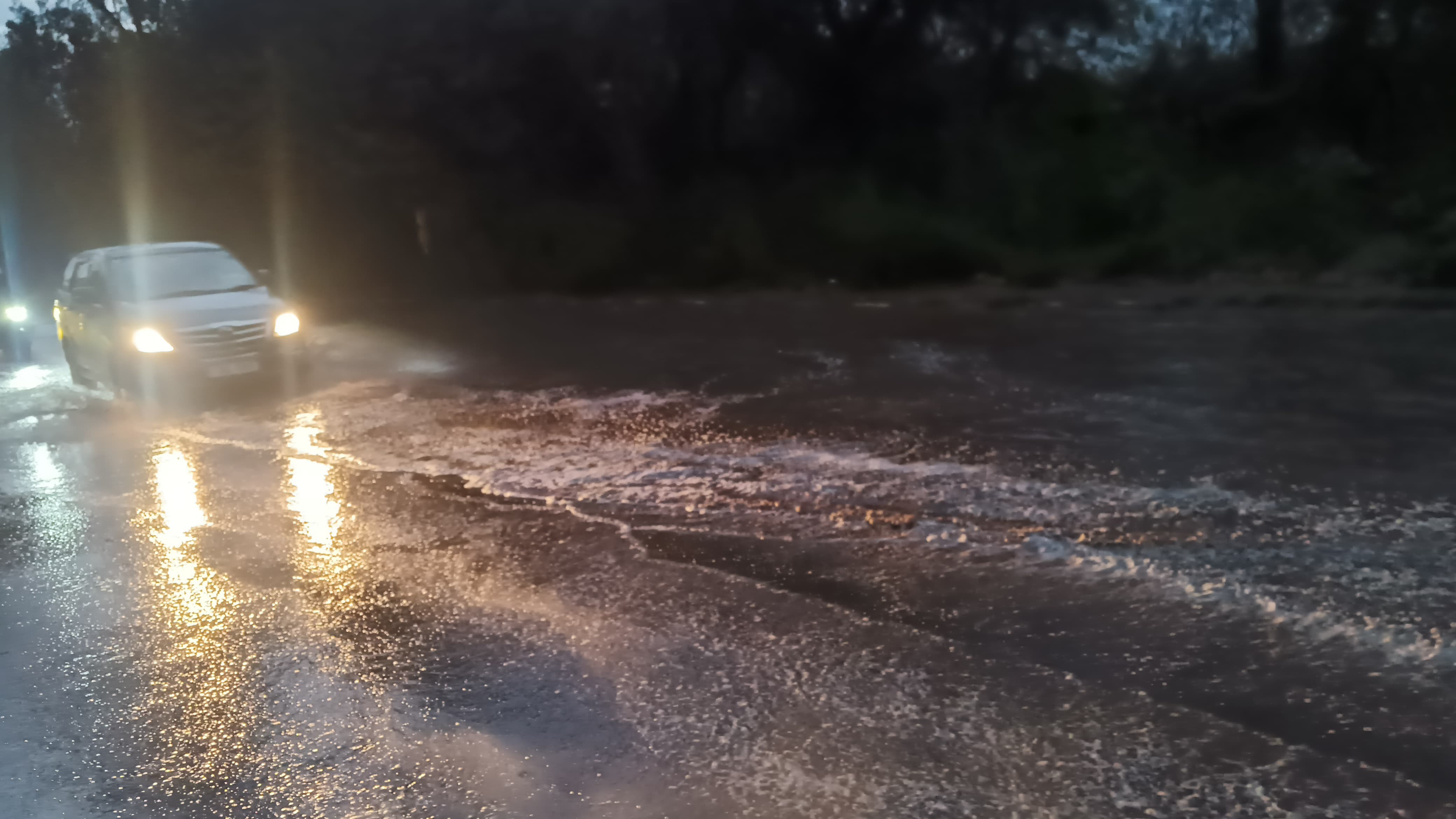 Panchkula Rain 2