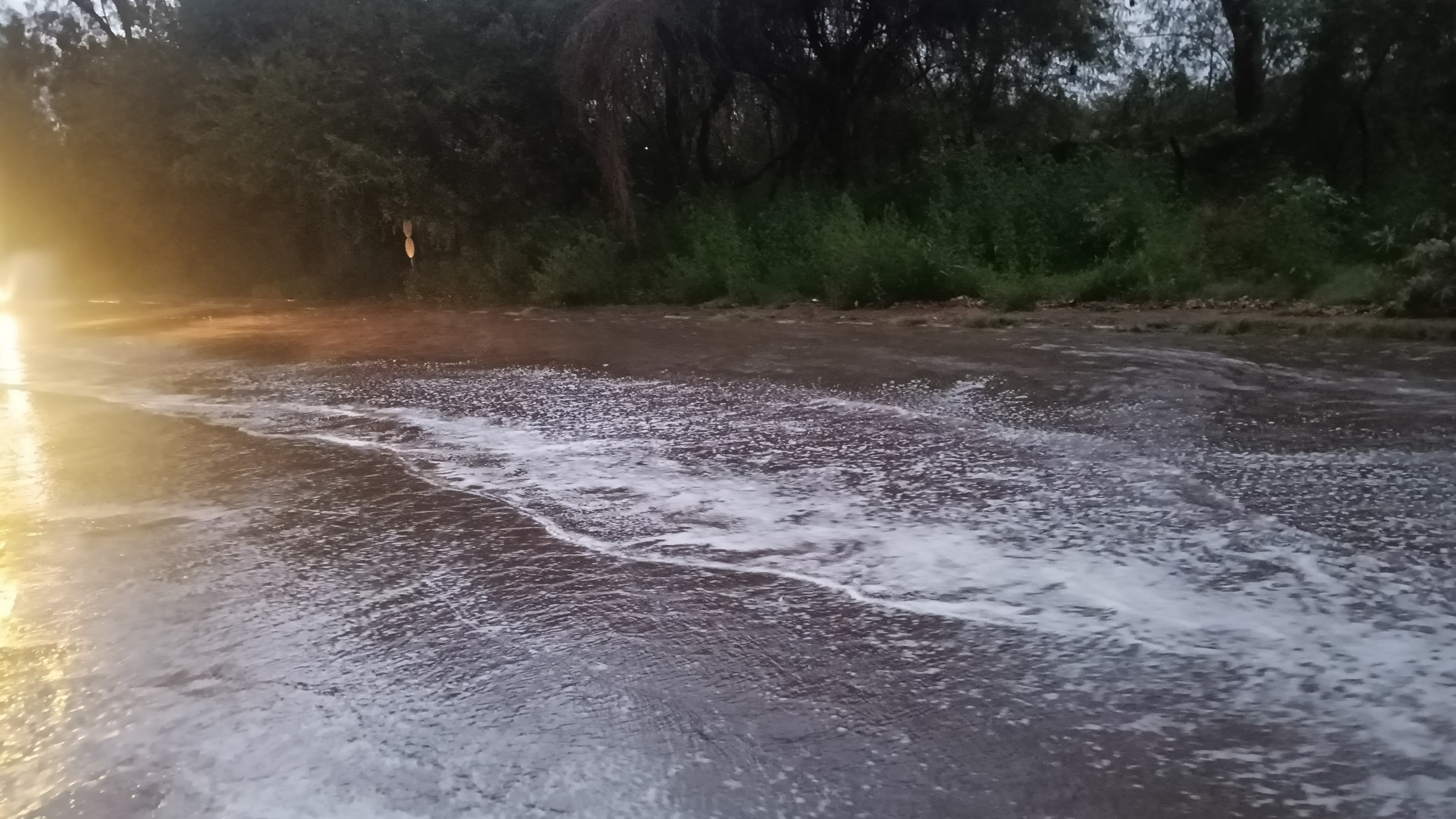 Panchkula Rain 3