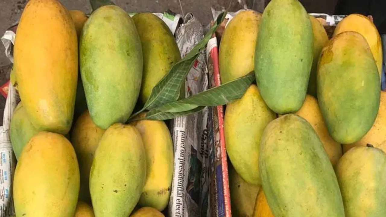 dashehri mango